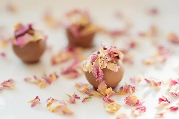 كازينو هايتي وين تطبيق أندرويد/آي أو إس